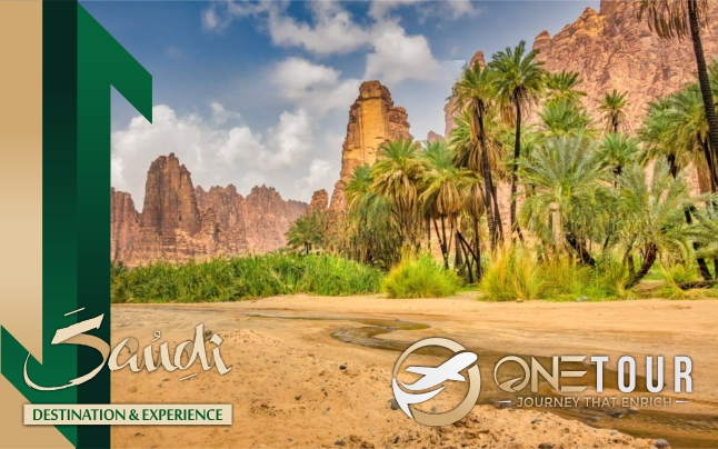 Tour Tabuk Wadi Al-Disah Saudi